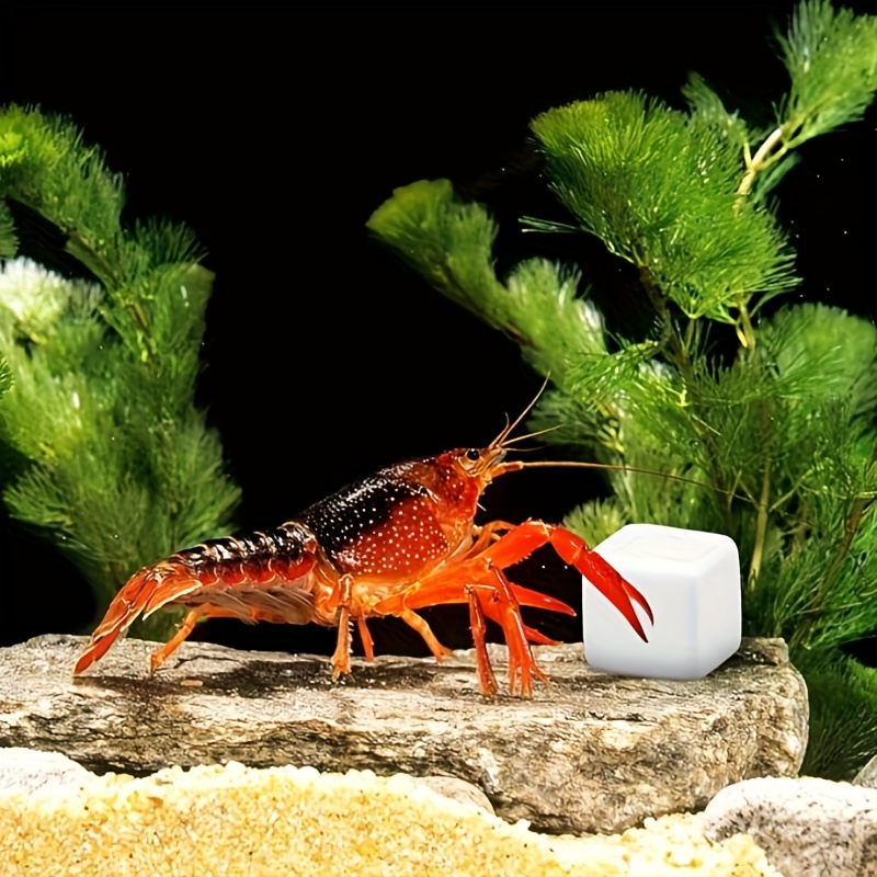 Calcium Powder Reptile - 6個入り 魚タンク用カルシウムブロック ミネラル アクアリウム用品 爬虫類用研磨キューブ 亀用石