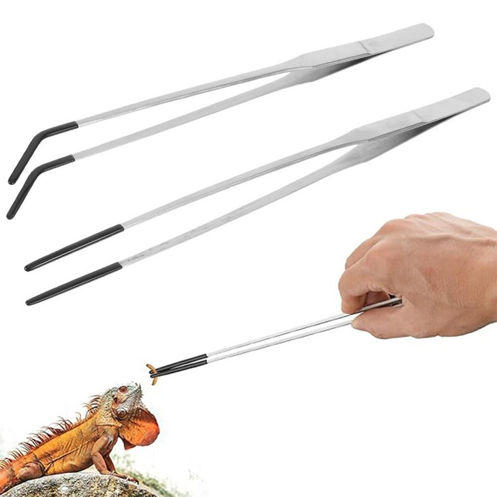 2個入り ステンレス製 アクアリウム用餌やりピンセット 滑り - Feeding Tong Stainless のレビューと価格