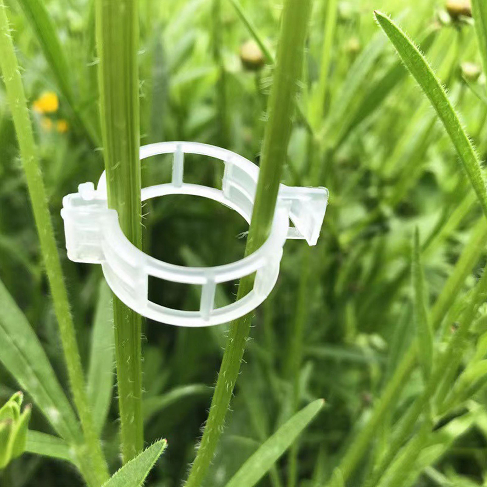 安全なプラスチック製の植物クリップ、庭用クリップの固定に、再 - Vine Climbing Plastic のレビューと価格