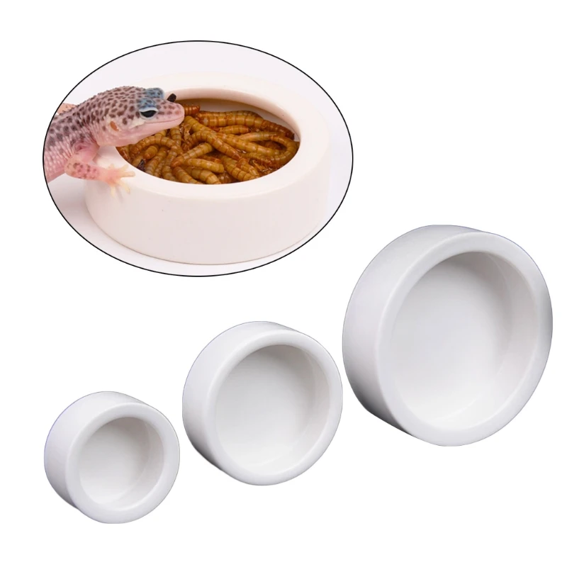 爬虫類用フードボウル、逃げ防止セラミック製フィーダーディッシ - Water Dish Reptile のレビューと価格
